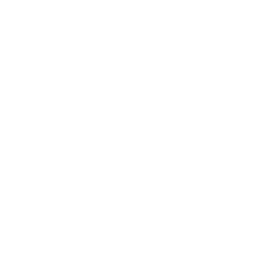 Innovation in Technology