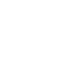 Proven Global Expertise